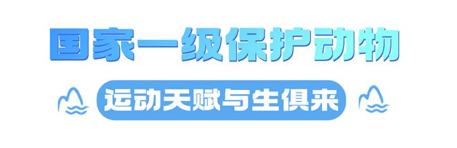 全球首部!官宣!(图2)