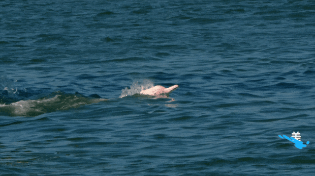 全球首部!官宣!(图9)