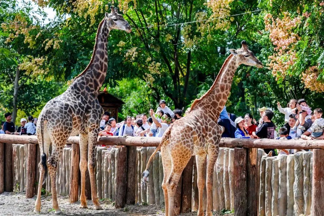 以司法之力科学之策守护“蓝天精灵”(图1)