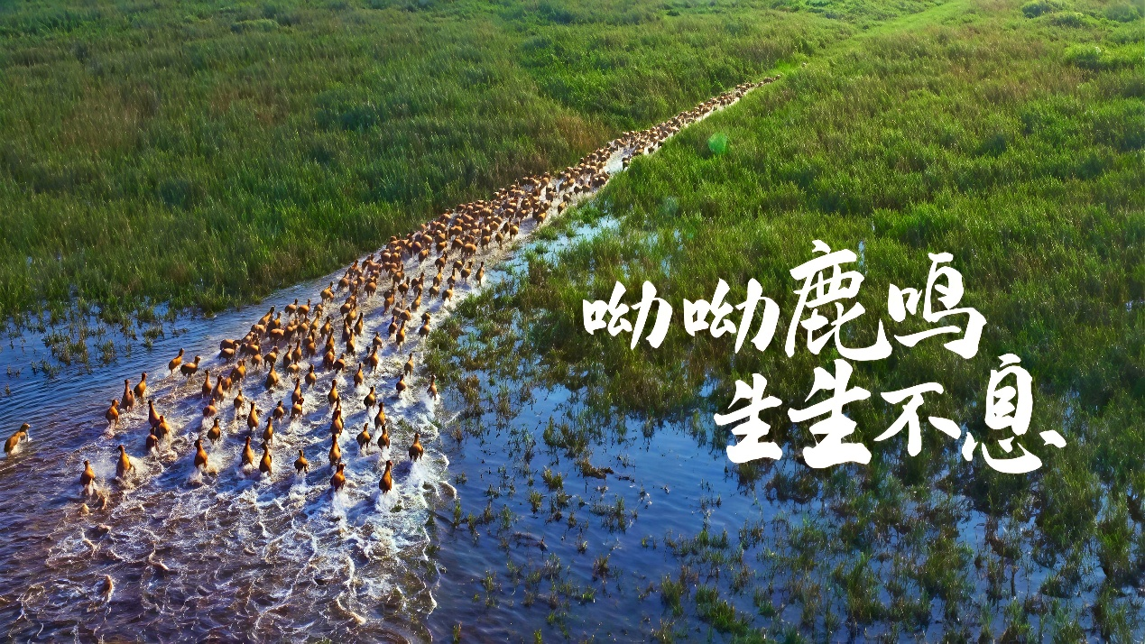 40年一场跨世纪的重逢(图1)