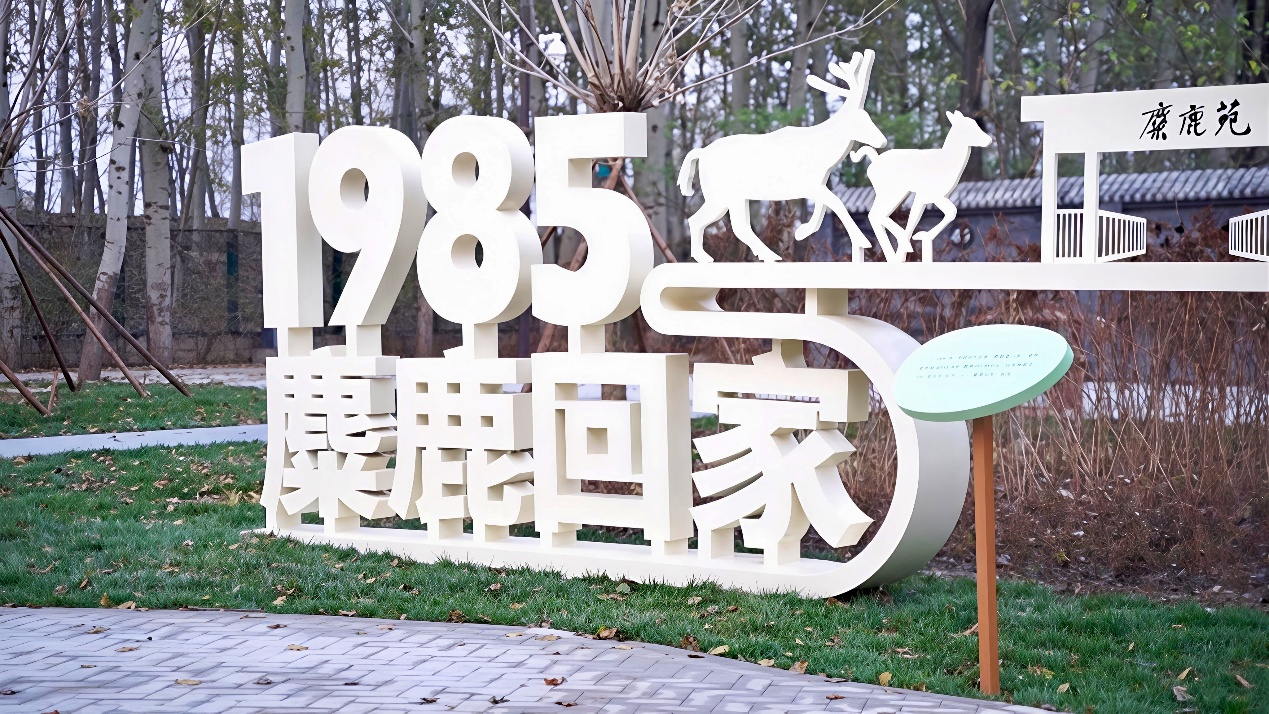 40年一场跨世纪的重逢(图2)