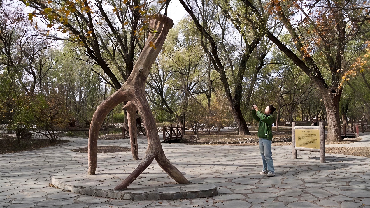 40年一场跨世纪的重逢(图3)