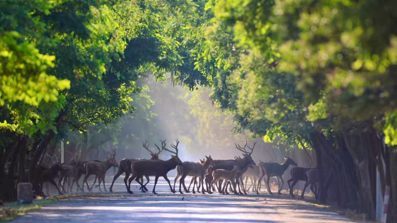 40年一场跨世纪的重逢(图4)