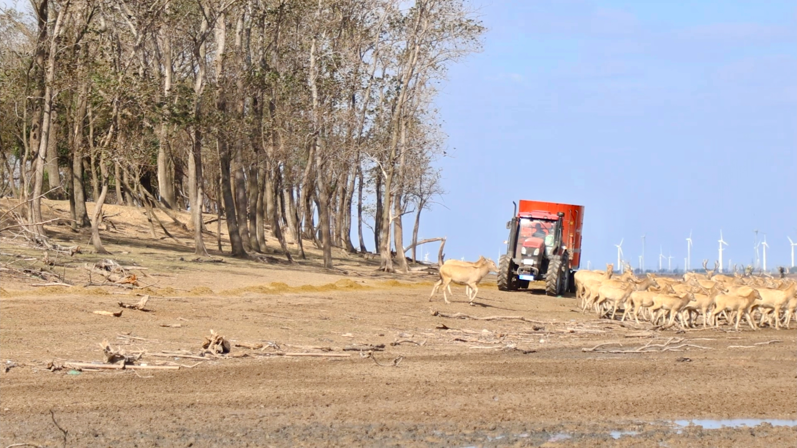 40年一场跨世纪的重逢(图6)