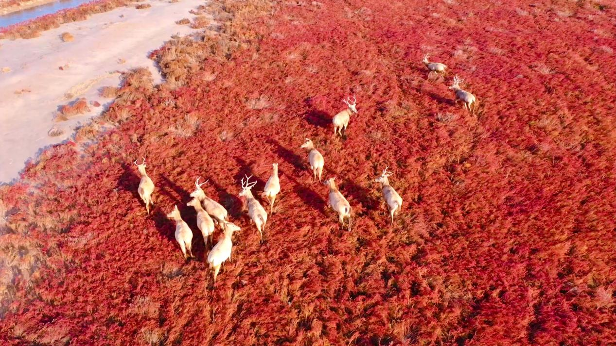 40年一场跨世纪的重逢(图7)