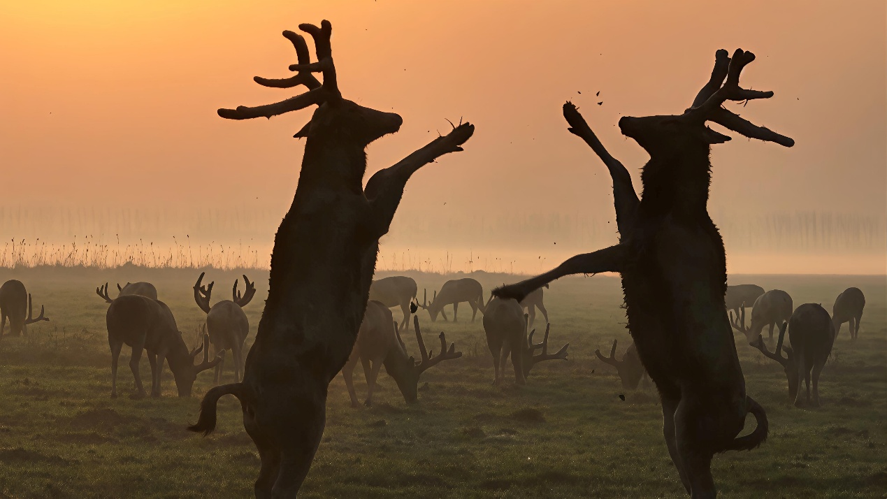 40年一场跨世纪的重逢(图8)