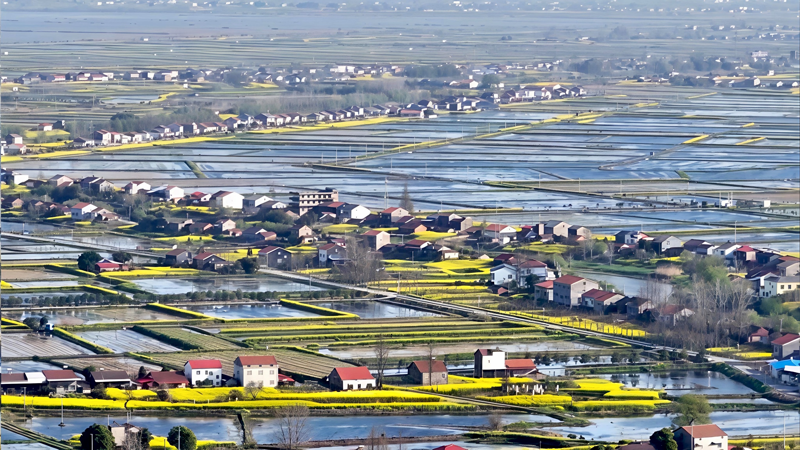 40年一场跨世纪的重逢(图10)