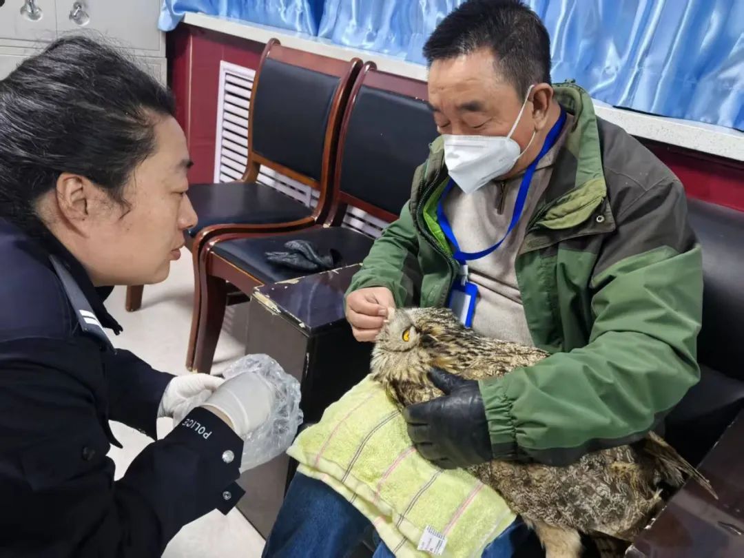 “警” 护萌兽山西公安暖心守护珍稀动物(图2)
