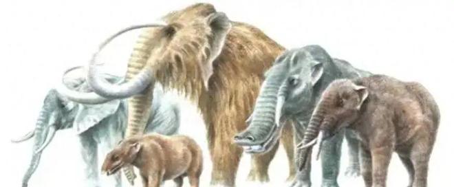 距今1万多年前冰河末期巨兽为何纷纷灭绝？(图1)
