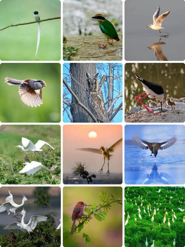 阔别近40年连云港这位老朋友又回来了！(图2)