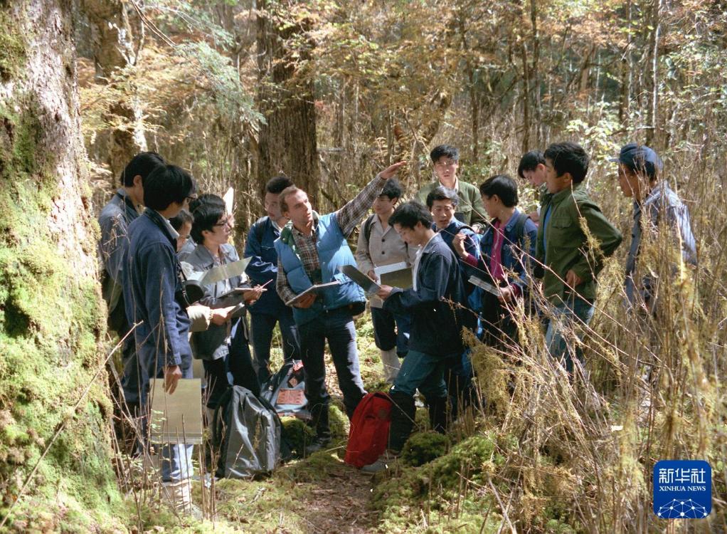 新华社出图丨这次我们来看大熊猫！(图3)