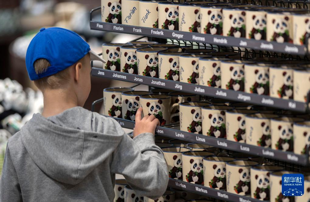 新华社出图丨这次我们来看大熊猫！(图23)