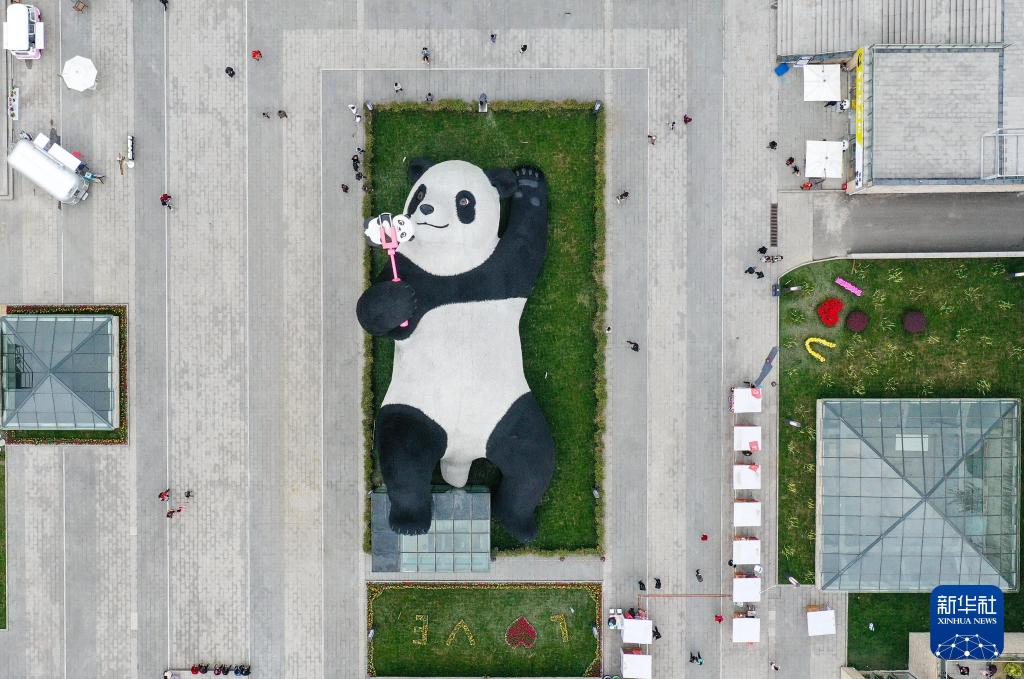 新华社出图丨这次我们来看大熊猫！(图24)