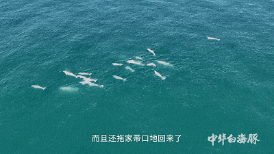 全国首部！官宣定档(图1)