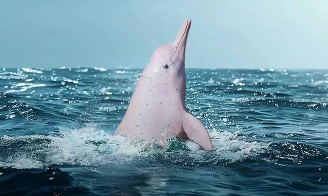 全国首部！官宣定档(图2)