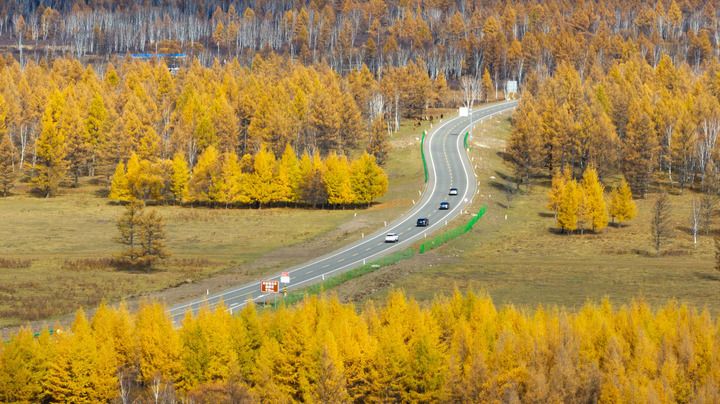 在绿色发展浪潮中点亮征途——智库报告解析习近平生态文明思想对全球可持续发展的理论贡献与实践引领(图5)