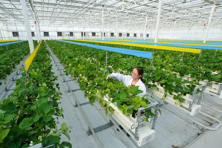 在绿色发展浪潮中点亮征途——智库报告解析习近平生态文明思想对全球可持续发展的理论贡献与实践引领(图10)