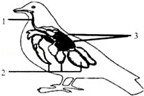2024年5月22日《中国生物物种名录2024版》发布(图2)