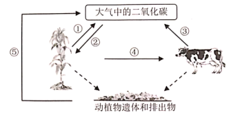 2024年5月22日《中国生物物种名录2024版》发布(图3)