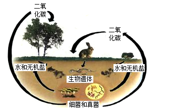 2024年5月22日《中国生物物种名录2024版》发布(图4)