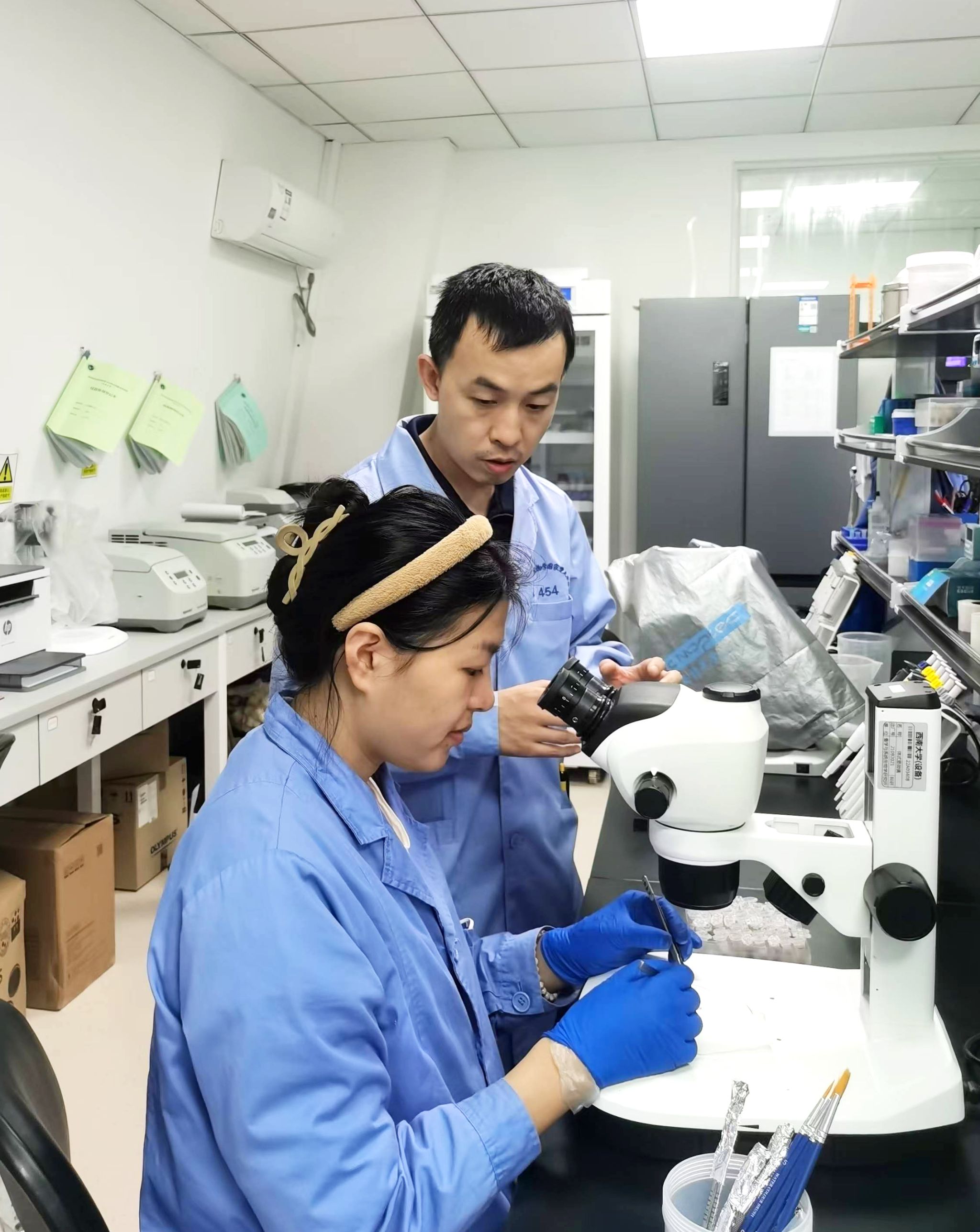 科学家确认八个新物种：海马只有豌豆大小(图1)