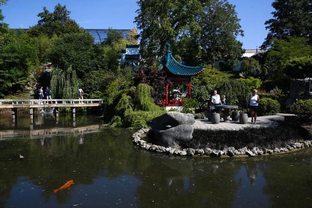 旅比大熊猫“守护者”埃里克·董博：打开感知中国之门(图1)