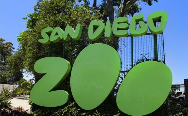 美国动物园最年长象龟被安乐死年龄达141岁经历过20任美国总统与两次世界大战(图2)