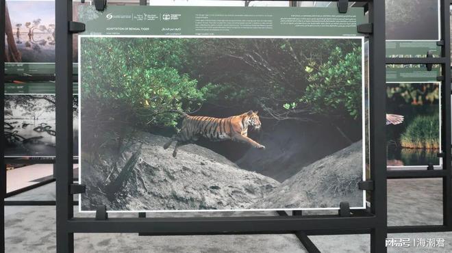 第19届国际小型底栖生物大会将于2025年12月在印度举办(图3)