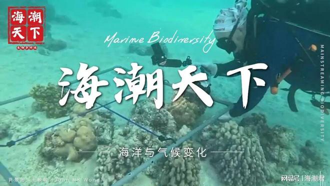 第19届国际小型底栖生物大会将于2025年12月在印度举办(图5)