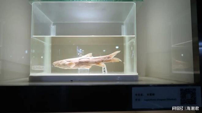 第19届国际小型底栖生物大会将于2025年12月在印度举办(图2)