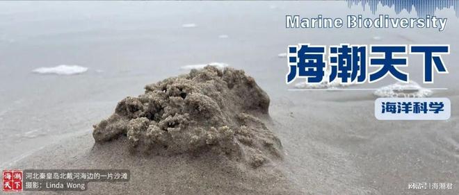 第19届国际小型底栖生物大会将于2025年12月在印度举办(图4)