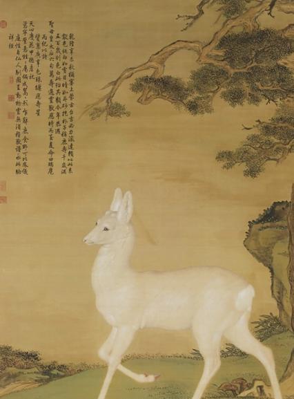 在野外消失近40年！2020年拍到真容乾隆皇帝曾当寿礼送给太后(图13)