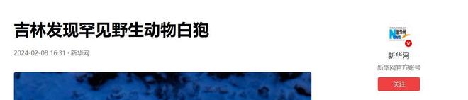 在野外消失近40年！2020年拍到真容乾隆皇帝曾当寿礼送给太后(图21)