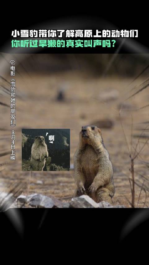 海关总署公告2025年第228号丨关于进口马耳他野生动物源性水产品检验和卫生要求的公告(图1)