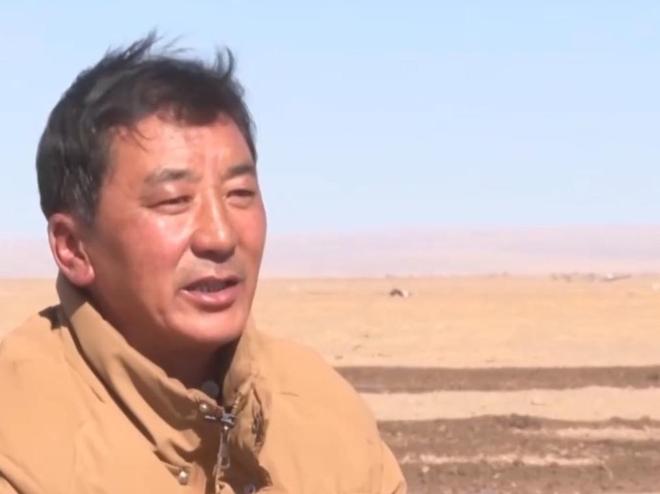 野外仅200多只！青海两兄弟8年捡59只回家每只都给起名字(图9)