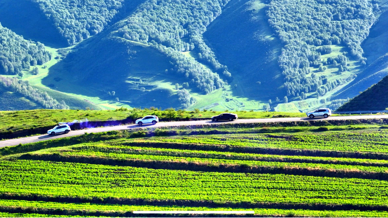 奋进的张家口 “十四五”答卷｜生态“含绿量”变发展“含金量” 张家口走出绿色转型之路(图3)