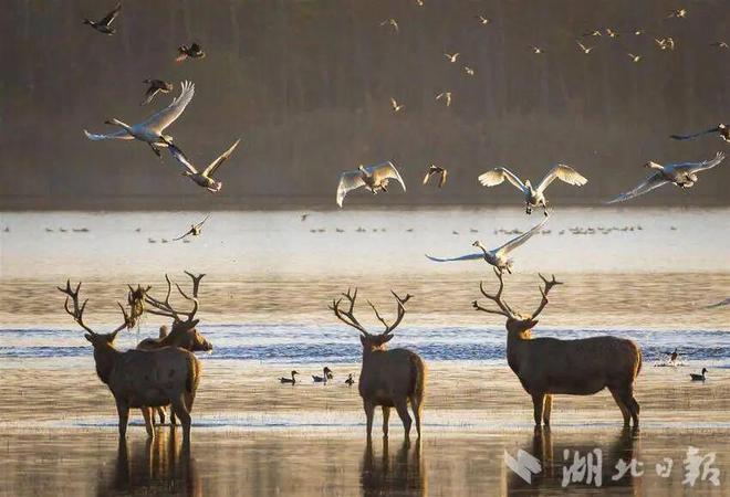 回归中国40年后改名了(图3)