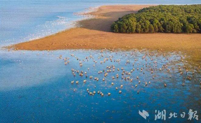 回归中国40年后改名了(图5)