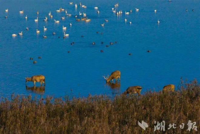 回归中国40年后改名了(图4)