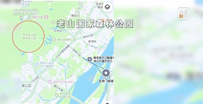 “二师兄”频繁来南京“旅游” 城市里的野生动物奇遇记(图2)