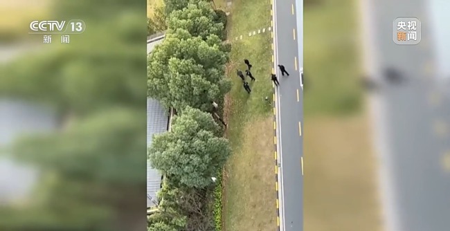 “二师兄”频繁来南京“旅游” 城市里的野生动物奇遇记(图6)