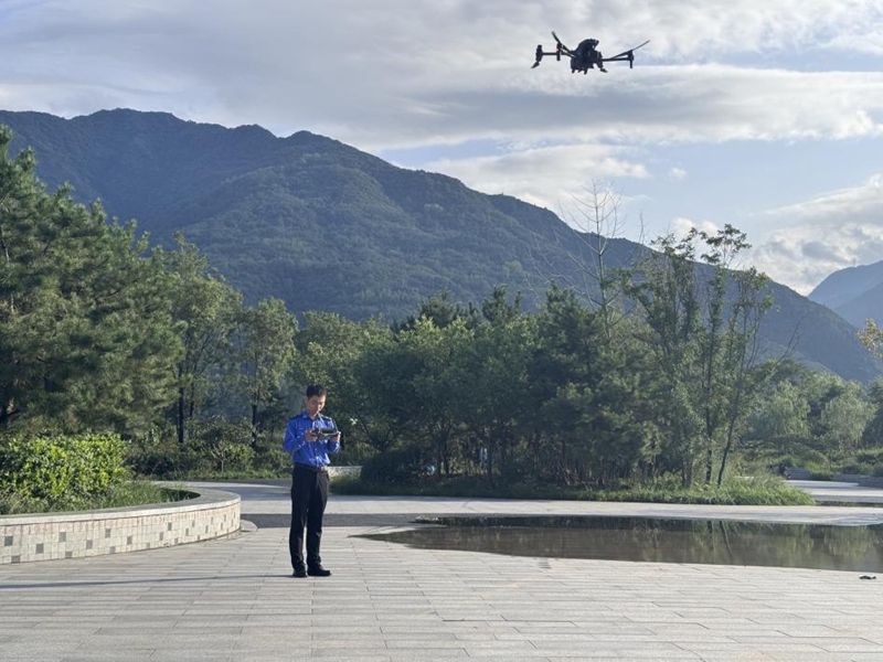 一城山水 绿满长安(图6)