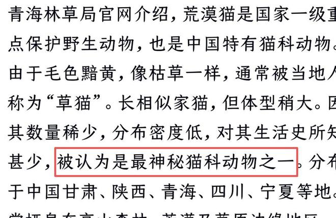 最不为人知的猫！我国特有是一级保护动物2024年甘肃救助1只(图12)