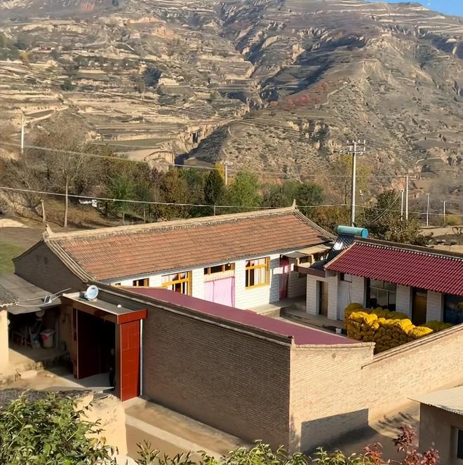 最不为人知的猫！我国特有是一级保护动物2024年甘肃救助1只(图2)