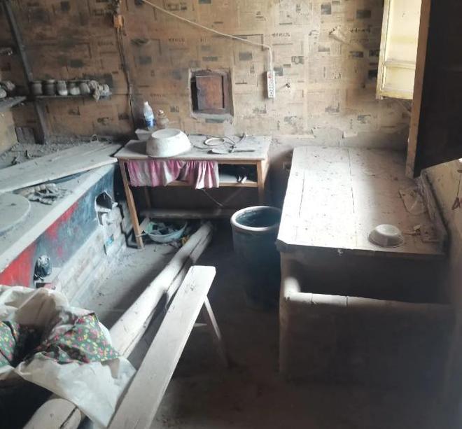 最不为人知的猫！我国特有是一级保护动物2024年甘肃救助1只(图4)