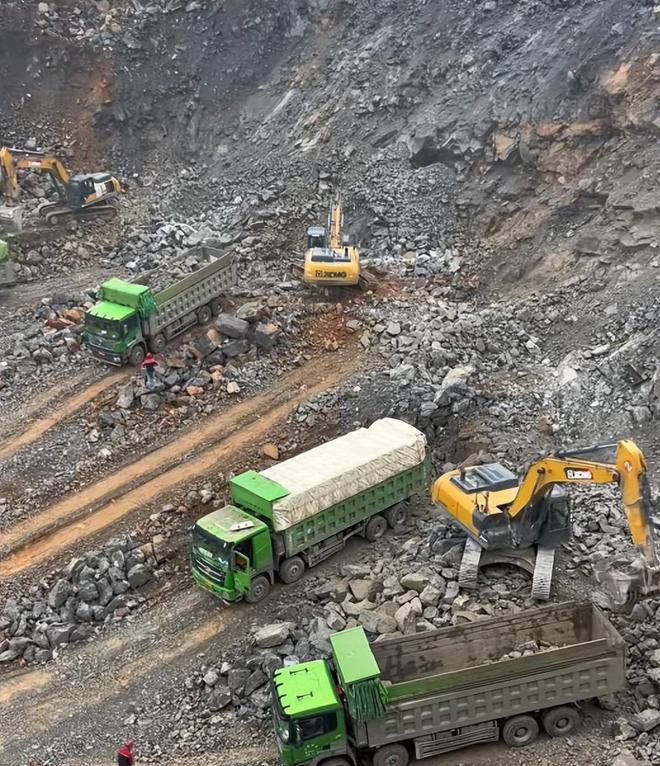 最不为人知的猫！我国特有是一级保护动物2024年甘肃救助1只(图18)