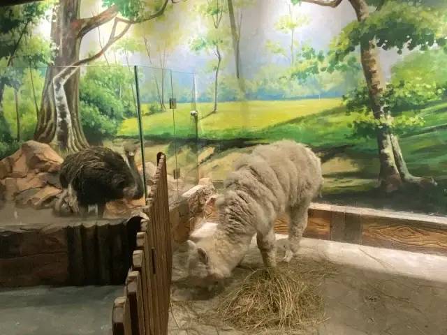 【温馨提示】对秦岭核心区非法穿越说“不”(图1)