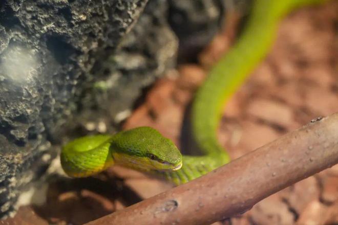 欢迎来到“疯狂动物城”无锡站！(图6)