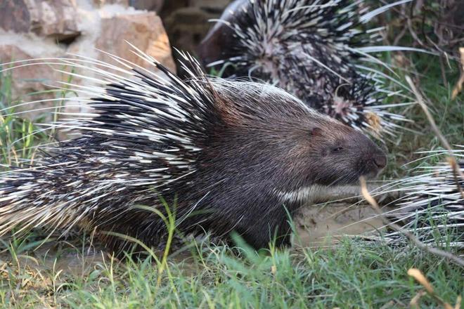 欢迎来到“疯狂动物城”无锡站！(图4)