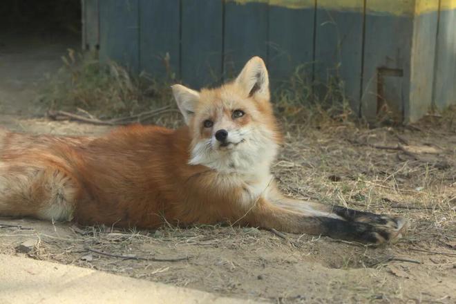 欢迎来到“疯狂动物城”无锡站！(图2)